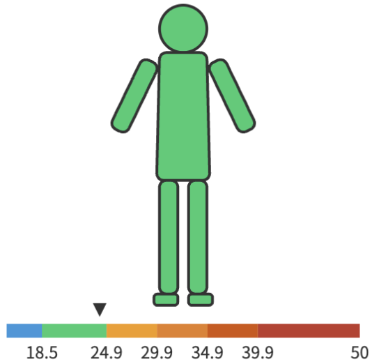 Body Mass Index